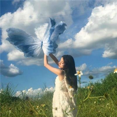金钻裁女
