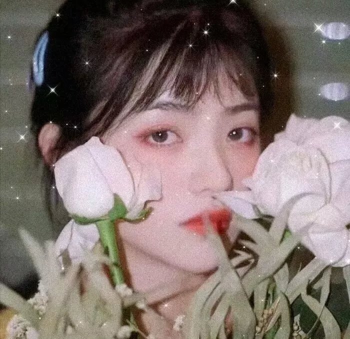 超完美男孩